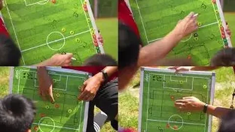 BB贝博艾弗森体育