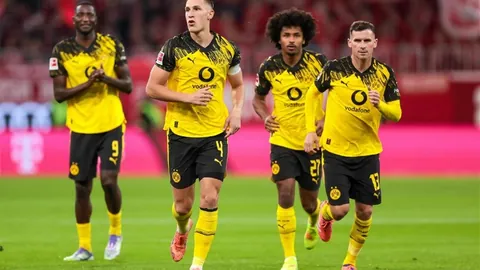 BB贝博艾弗森体育