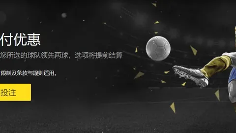 BB贝博艾弗森体育